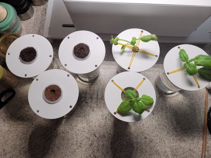 Nắp giữ cắt và nảy mầm cho hệ thống DWC mini - Image 11