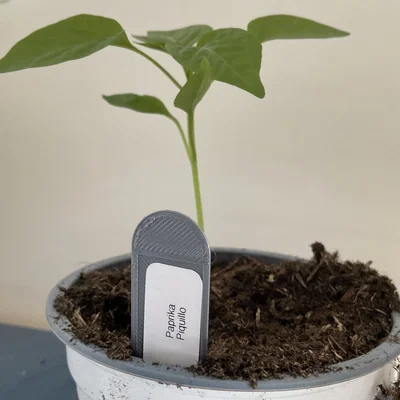 Nhãn cây cho nhãn dán 25mmx13mm