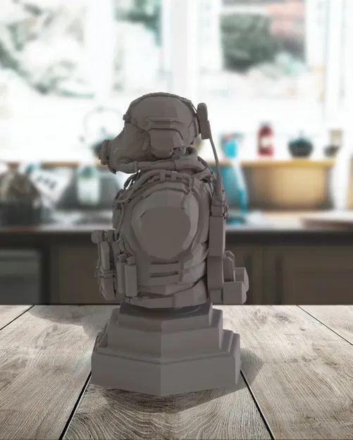 Tượng bán thân phi công anh hùng trong bộ sưu tập tùy chỉnh - Image 3