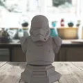 Tượng bán thân Storm Trooper trong bộ sưu tập tùy chỉnh - Thumbnail 1