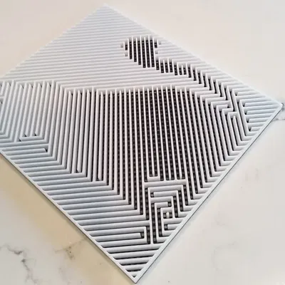 Ảnh ảo giác mèo đen và trắng thú vị