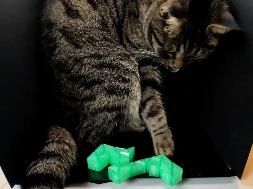 Rắn fidget in place độc đáo - Image 4