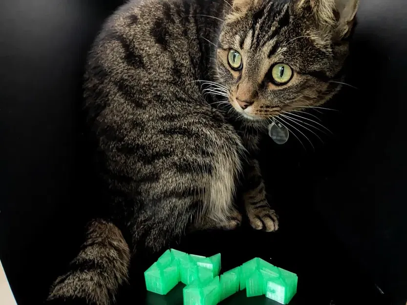 Rắn fidget in place độc đáo - Image 6