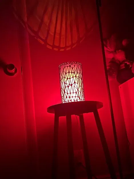 Bình hoa trừu tượng hoặc chao đèn đơn giản - Image 1