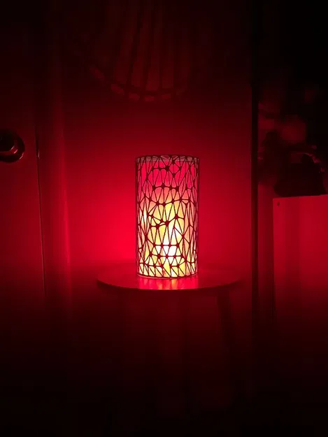 Bình hoa trừu tượng hoặc chao đèn đơn giản - Image 2