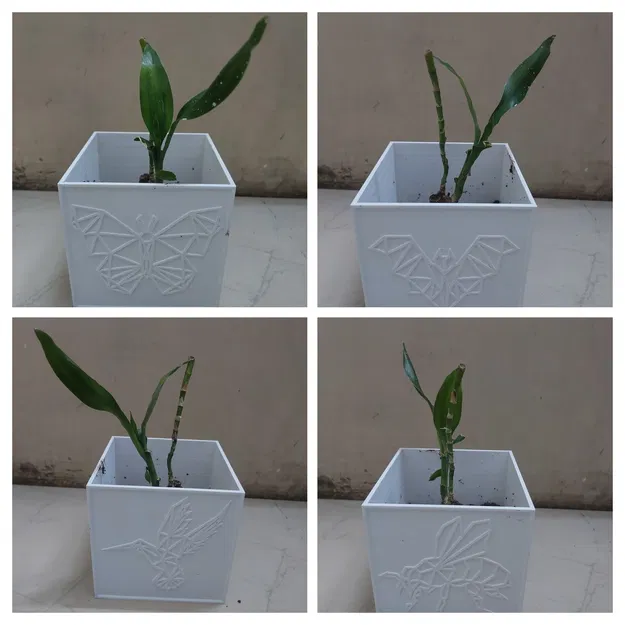 Chậu cây hình khối Creature Haven với các sinh vật độc đáo - Image 2