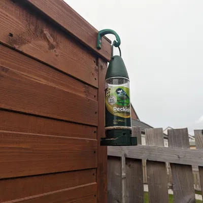 Móc treo thức ăn cho chim trong vườn