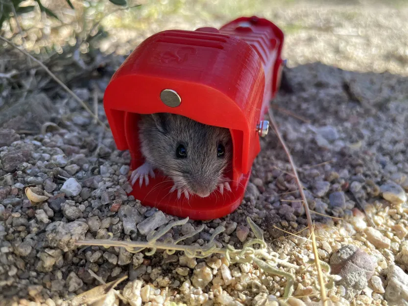 Bẫy chuột nhân đạo cho việc bắt và thả chuột - Image 6