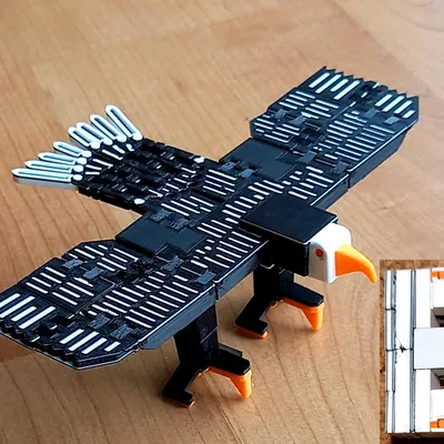 Nhân vật chim đại bàng với tên gọi bí ẩn