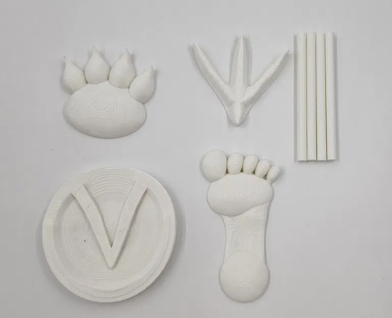 Dấu chân động vật khác nhau trên cát - Image 2