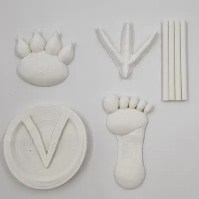 Dấu chân động vật khác nhau trên cát