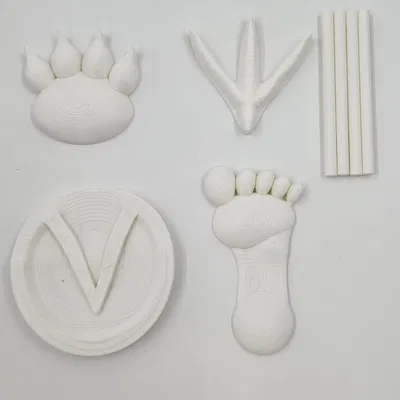 Dấu chân động vật khác nhau trên cát