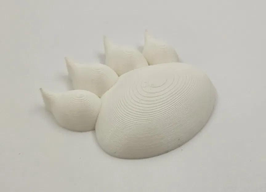 Dấu chân động vật khác nhau trên cát - Image 4