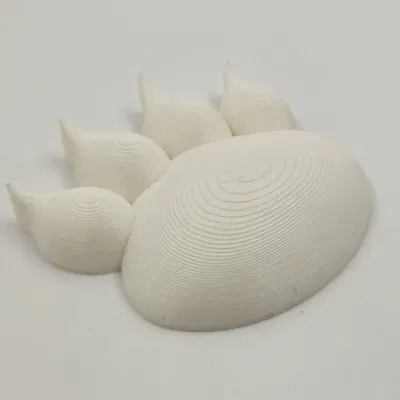 Dấu chân động vật khác nhau trên cát