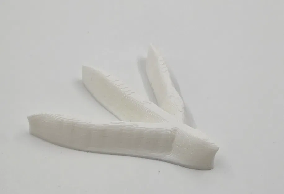 Dấu chân động vật khác nhau trên cát - Image 5