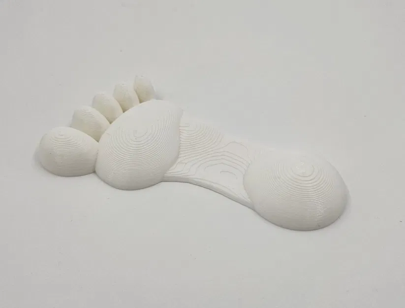 Dấu chân động vật khác nhau trên cát - Image 8