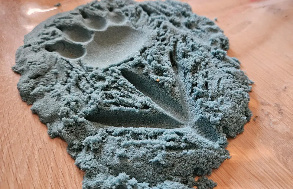 Dấu chân động vật khác nhau trên cát - Image 10