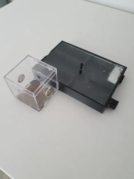 Formicarium - Mô hình tổ kiến sinh động cho thú cưng - Image 1