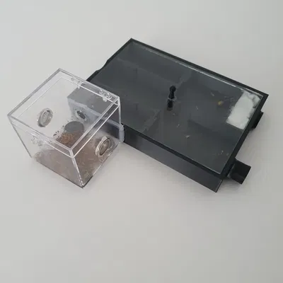 Formicarium - Mô hình tổ kiến sinh động cho thú cưng