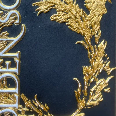 Bìa nghệ thuật Red Rising với thiết kế đa sắc 3D