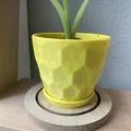 Chậu cây hình lục giác nổi ấn tượng - Thumbnail 2
