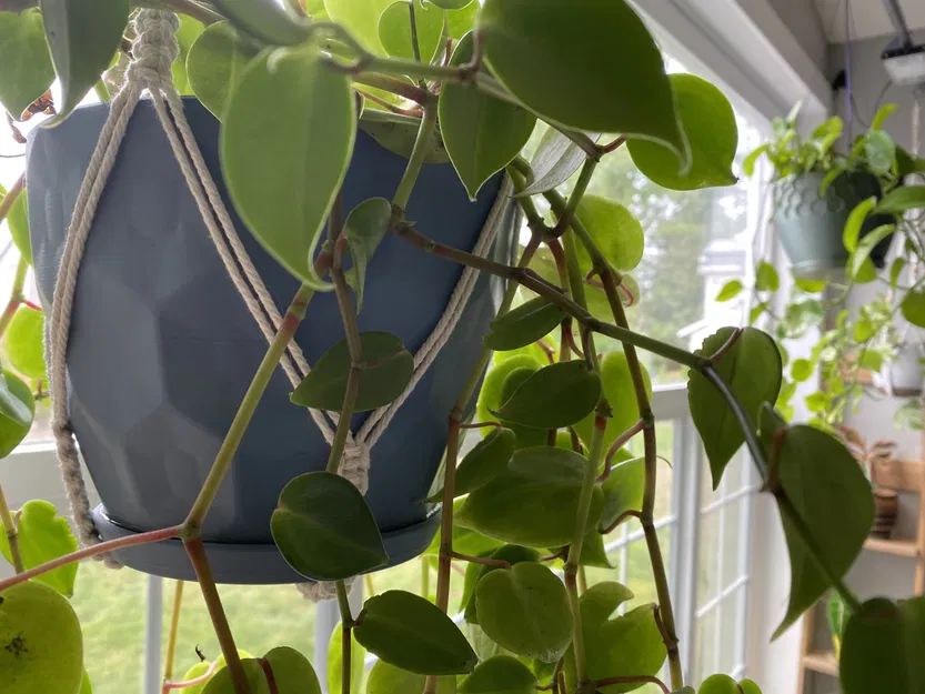 Chậu cây hình lục giác nổi ấn tượng - Image 3