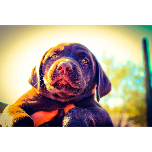 Giá đỡ tai nghe tiện lợi cho không gian làm việc - Image 2