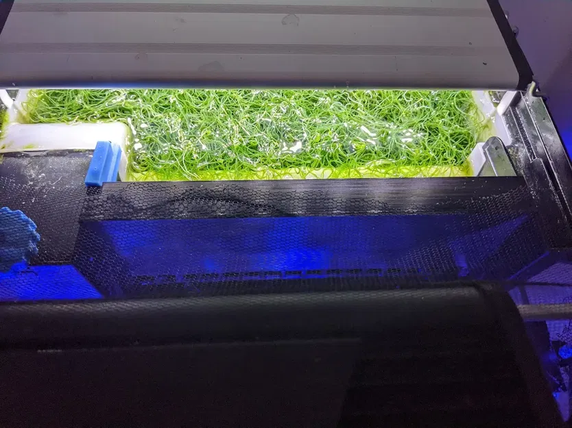 Bộ lọc refugium Seachem Tidal 110 với đèn AquaLED - Image 1