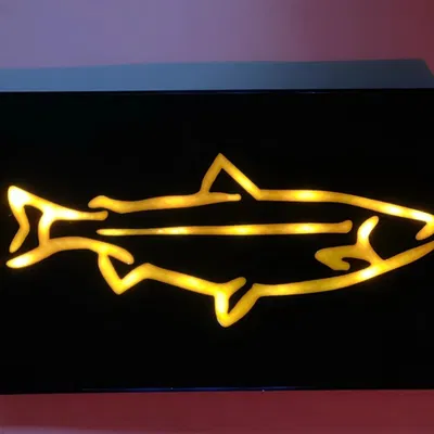 Hộp đèn LED tùy chỉnh cho nghệ thuật và thiết kế