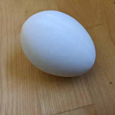 Trứng nhựa lớn kích thước quá khổ loại A