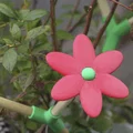 Giá đỡ cây trồng mở rộng theo hướng tự nhiên - Thumbnail 3
