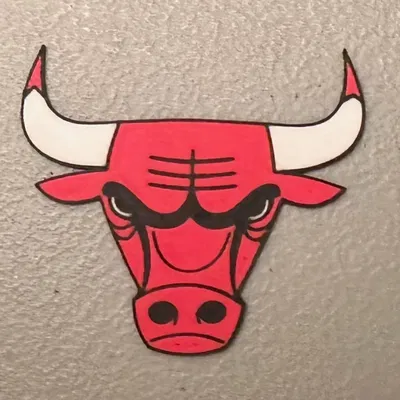 Nam châm biểu tượng Chicago Bulls nhiều màu sắc