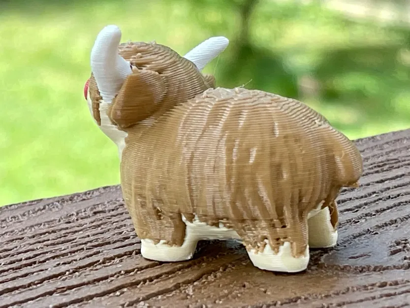 Bò cao nguyên trẻ nhỏ nhiều màu sắc - MMU - Image 3