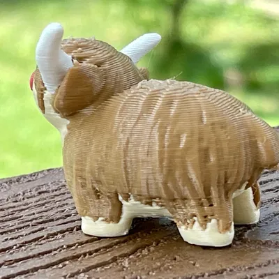 Bò cao nguyên trẻ nhỏ nhiều màu sắc - MMU