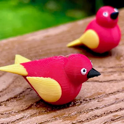 Chim Wobble dễ thương với màu sắc đa dạng cho MMU