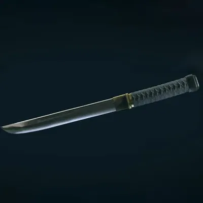 Kiếm Tanto Starfield trong game Nhật Bản