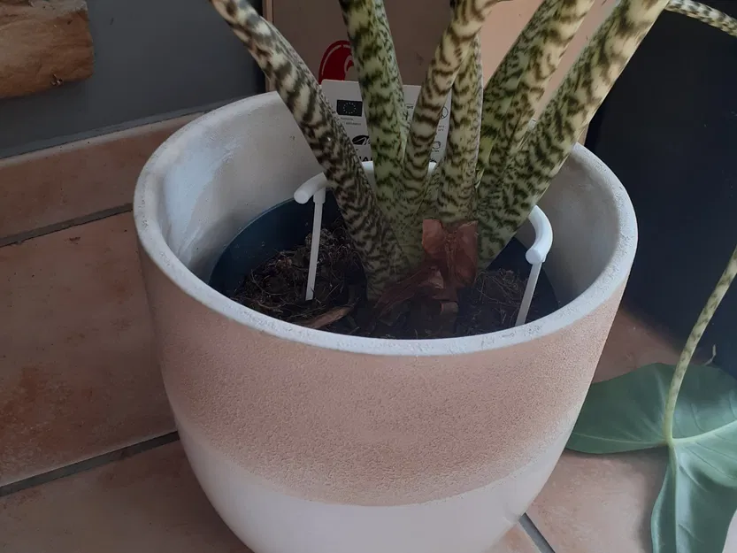 Giá đỡ cây trồng bằng PLA cao 12 cm, đường kính 7 cm - Image 1