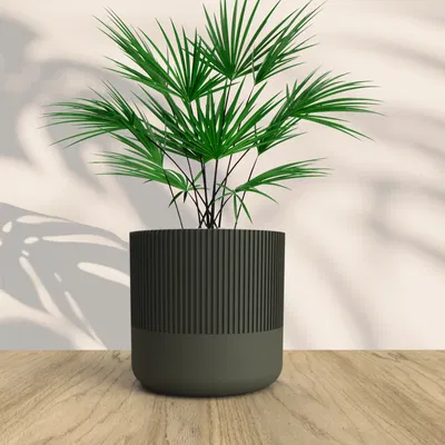 Chậu cây phong cách Boho cho không gian sống