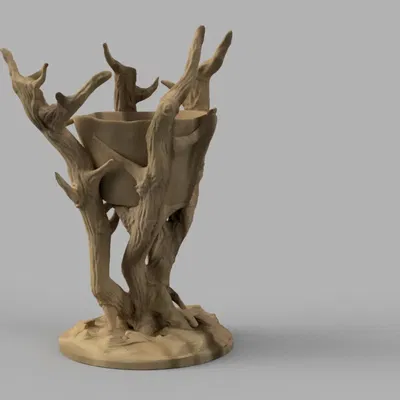 Cây cảnh trang trí cho không gian sống