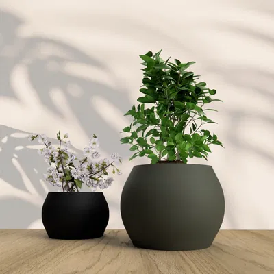 Chậu cây trang trí đơn giản cho hoa và cây cảnh