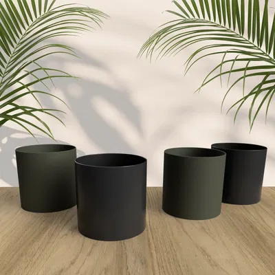 Chậu hoa đơn giản nhất cho ngôi nhà của bạn