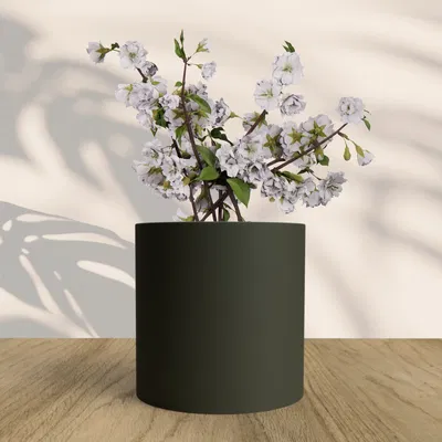 Chậu hoa đơn giản nhất cho ngôi nhà của bạn