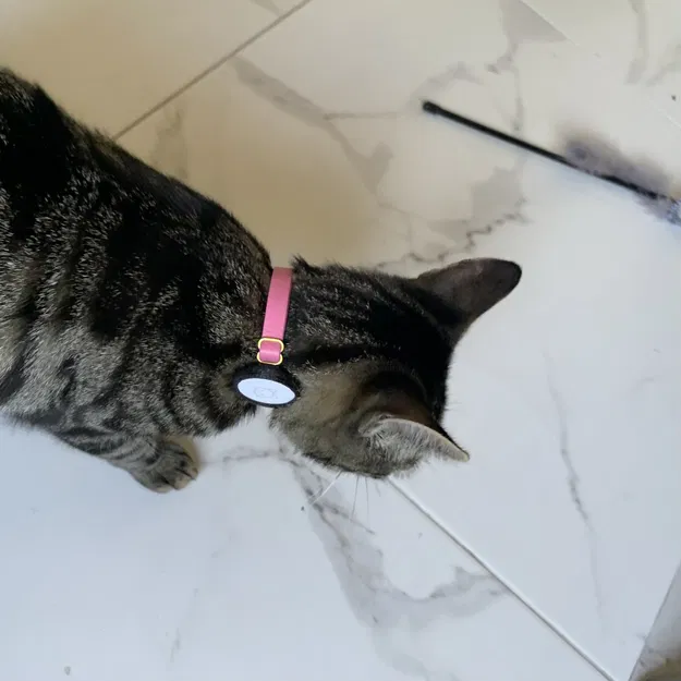 Kẹp cổ áo cho mèo AirTag bằng TPU linh hoạt - Image 2