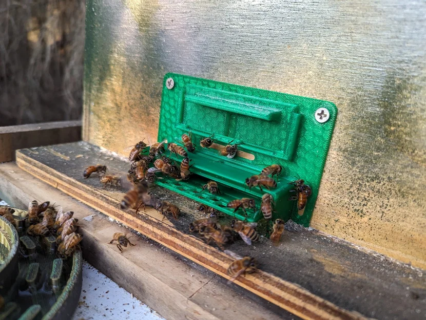 Cửa ra vào tổ ong nhỏ và lớn chống bọ nhỏ - Image 3