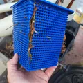 Rổ lá thay thế cho máy bơm hồ bơi Hayward - Thumbnail 3