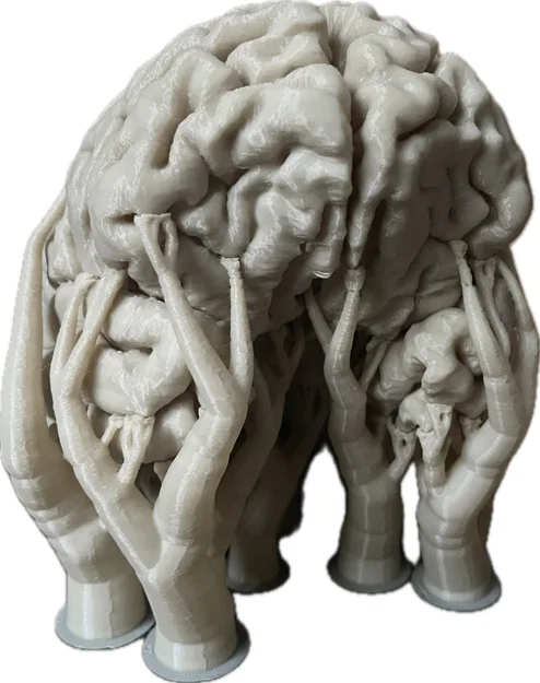 Não người từ hình ảnh MRI kích thước 1:1 - Image 1