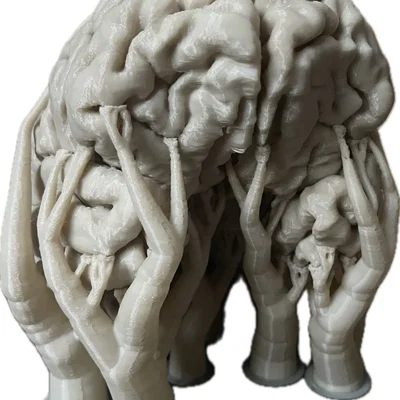 Não người từ hình ảnh MRI kích thước 1:1