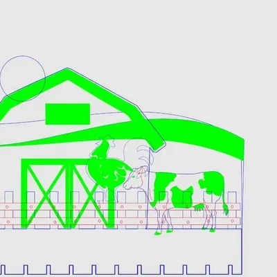 Buổi sáng yên bình trên nông trại với bò và gà
