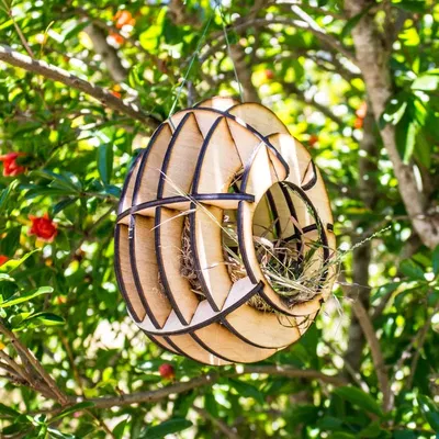 Nhà chim cắt laser tùy chỉnh cho chim trong khu vực