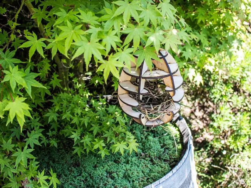 Nhà chim cắt laser tùy chỉnh cho chim trong khu vực - Image 2